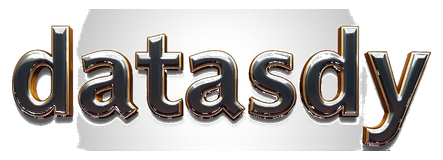 datasdy logo